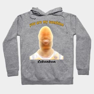 You are my sunshine Lebonbon meme Hoodie